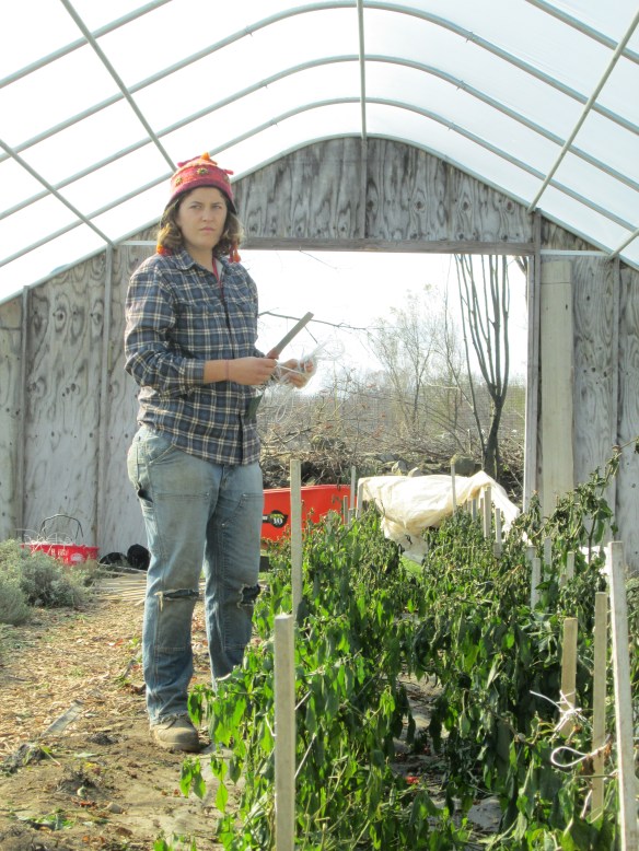 Miss Chelsea has moved on to save Africa.