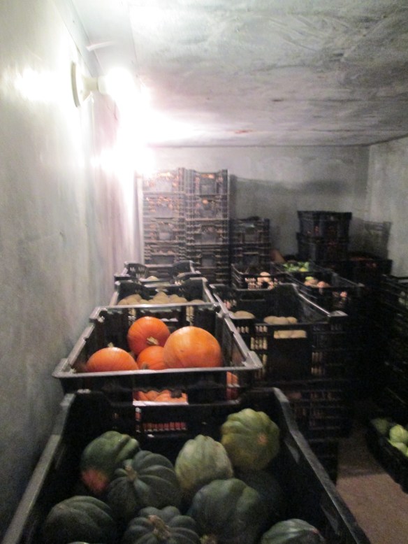 Veggie party in the root cellar!