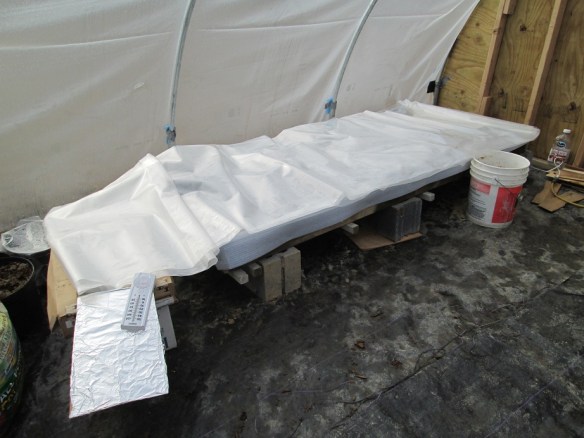 "Goodnight, onions," she said in her best Christopher Walken voice.