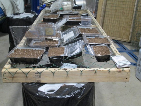 Working in the dirt.