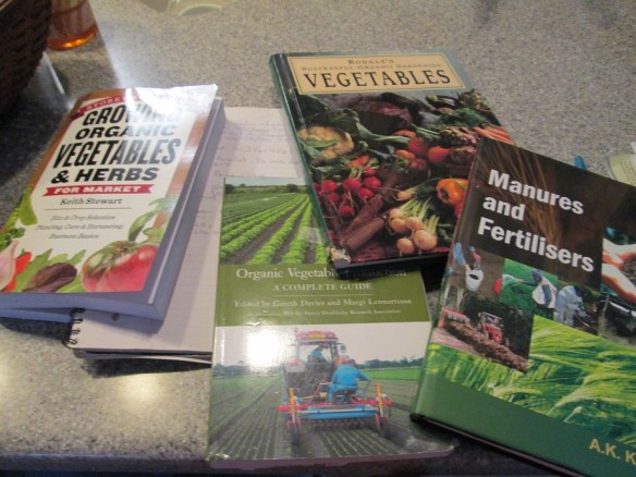 This looks like a college desk - this is why I DIDN'T go to grad school, ahhhh.