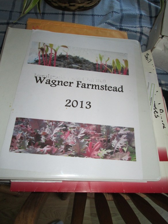 My big bad 2013 folder - and no, I didn't make my section dividers out of cut up county band folders from high school...and no, the cover doesn't suggest that I lifted the binder itself from a Child Advocates recycling bin...