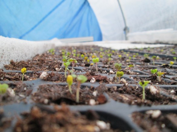 I could not be a prouder mother.