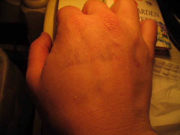 Thank you, ZBar, for an awesome evening.