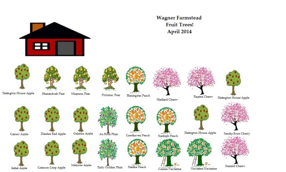 Farmstead Tree Map