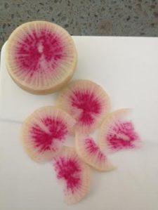 watermelon radish 2