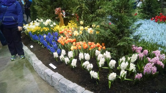 IMG_20150307_115316657