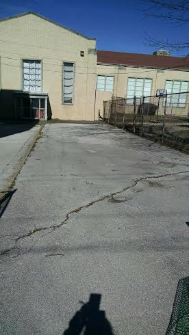 What do you see when you look at this space? Do you see blooming green beauty? We do.