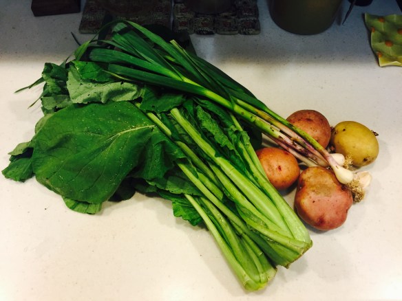Glam shot of Komatsuna, Green Garlic, and Potatoes.