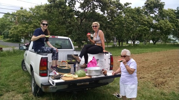 IMG_20170615_124443028