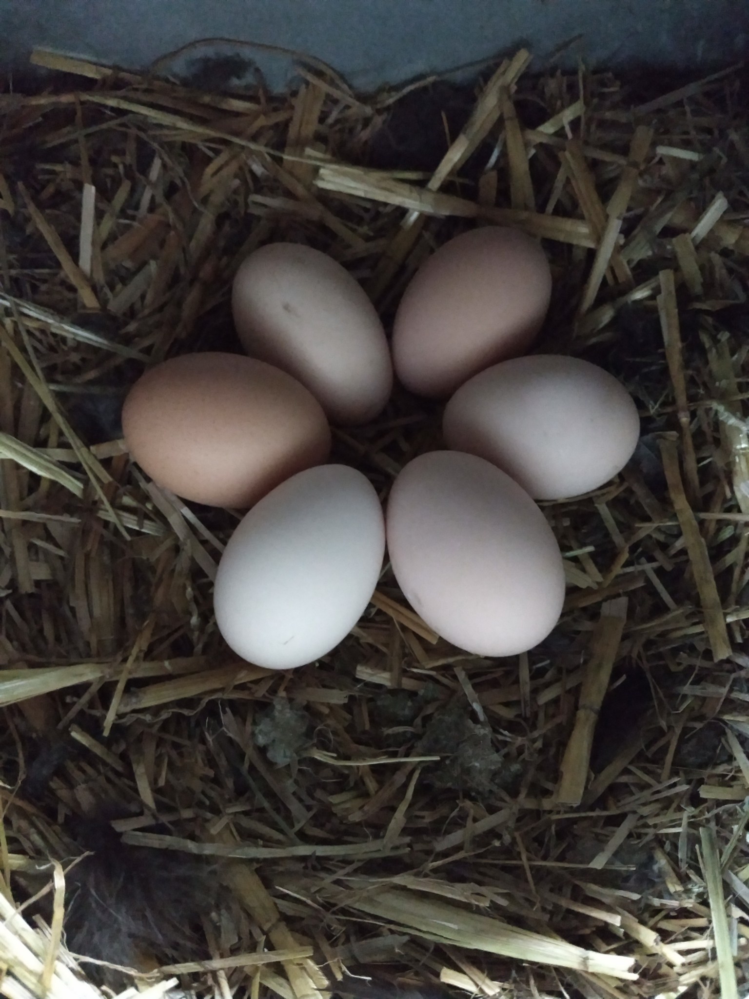 IMG_20180315_120314210