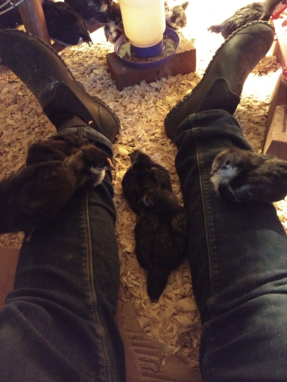 IMG_20180325_193436155